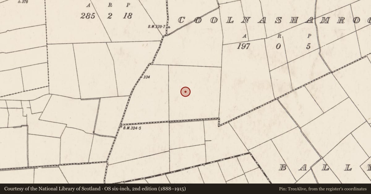 Ordnance Survey six-inch map, 2nd edition (1888–1915) covering the location of Barrow - ring-barrow, Coolnashamroge, County Limerick, with a pin at the register's coordinates