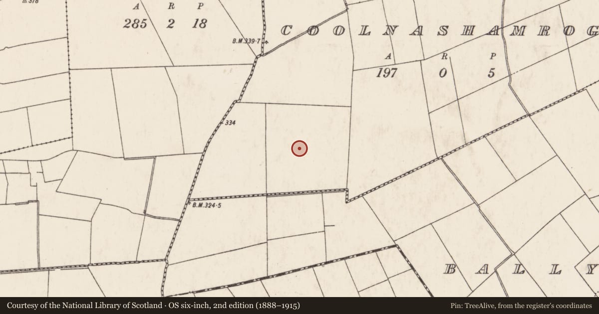 Ordnance Survey six-inch map, 2nd edition (1888–1915) covering the location of Barrow - ring-barrow, Coolnashamroge, County Limerick, with a pin at the register's coordinates