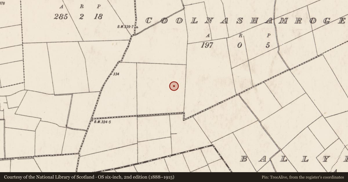 Ordnance Survey six-inch map, 2nd edition (1888–1915) covering the location of Barrow - ring-barrow, Coolnashamroge, County Limerick, with a pin at the register's coordinates
