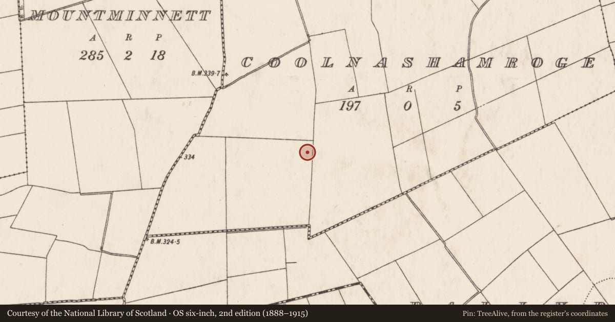 Ordnance Survey six-inch map, 2nd edition (1888–1915) covering the location of Barrow - ring-barrow, Coolnashamroge, County Limerick, with a pin at the register's coordinates