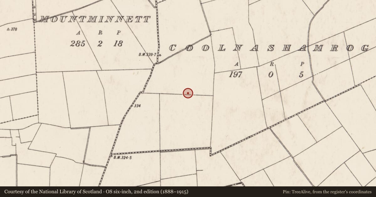 Ordnance Survey six-inch map, 2nd edition (1888–1915) covering the location of Field system, Ballyphilip, Coolnashamroge, County Limerick, with a pin at the register's coordinates