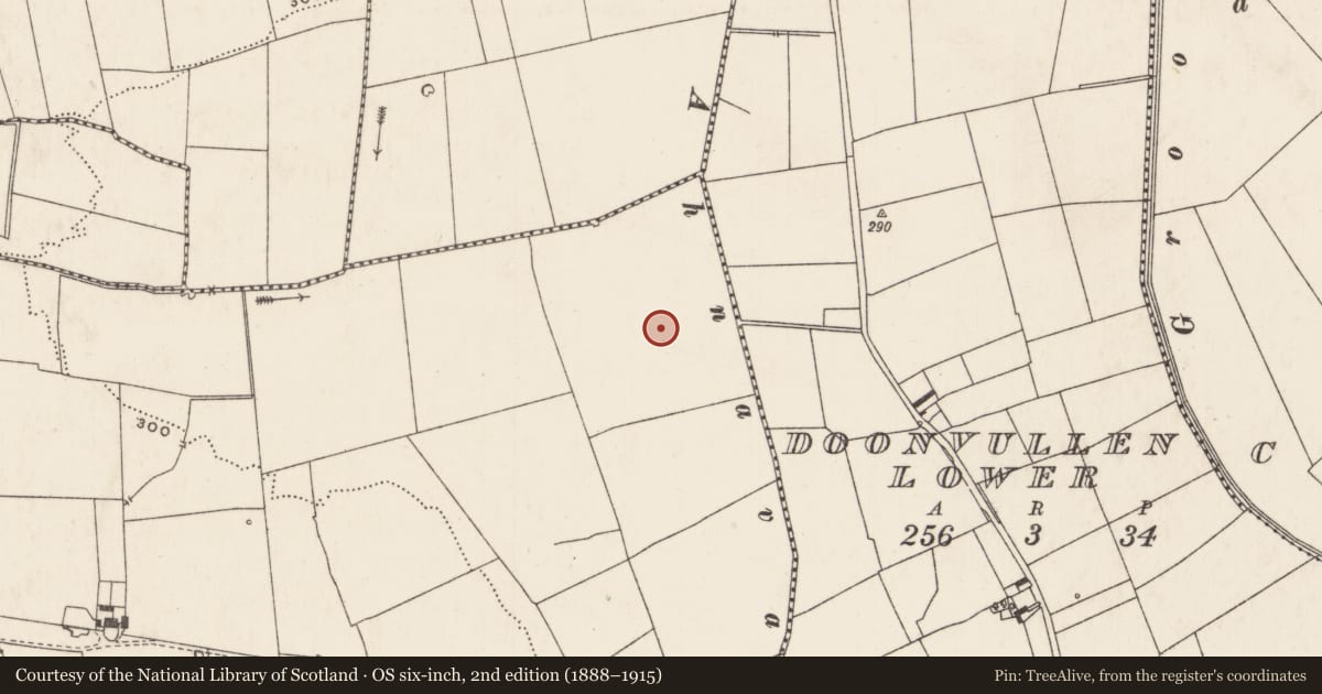 Ordnance Survey six-inch map, 2nd edition (1888–1915) covering the location of Barrow - ring-barrow, Ballyhoodane, County Limerick, with a pin at the register's coordinates