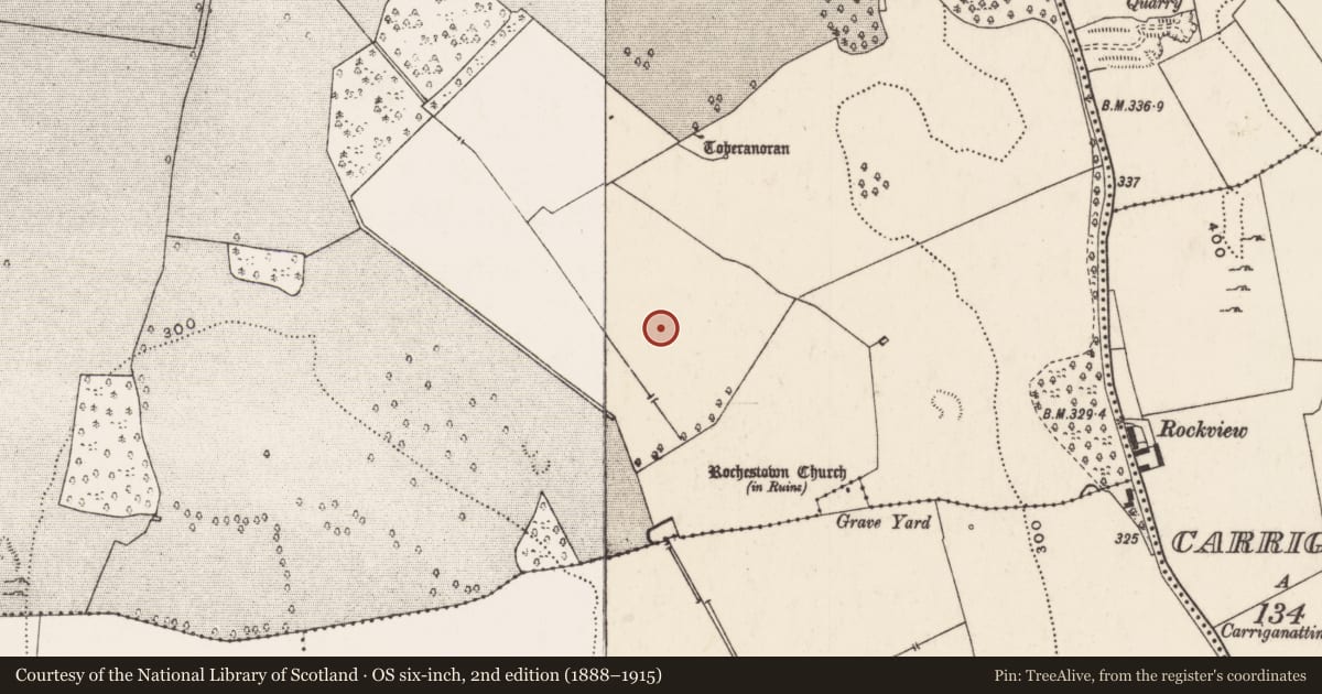 Ordnance Survey six-inch map, 2nd edition (1888–1915) covering the location of Barrow - ring-barrow, Ballynagarde, County Limerick, with a pin at the register's coordinates