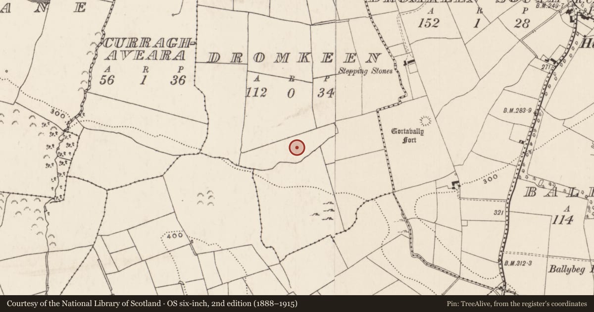 Ordnance Survey six-inch map, 2nd edition (1888–1915) covering the location of Enclosure, Dromkeen, County Limerick, with a pin at the register's coordinates