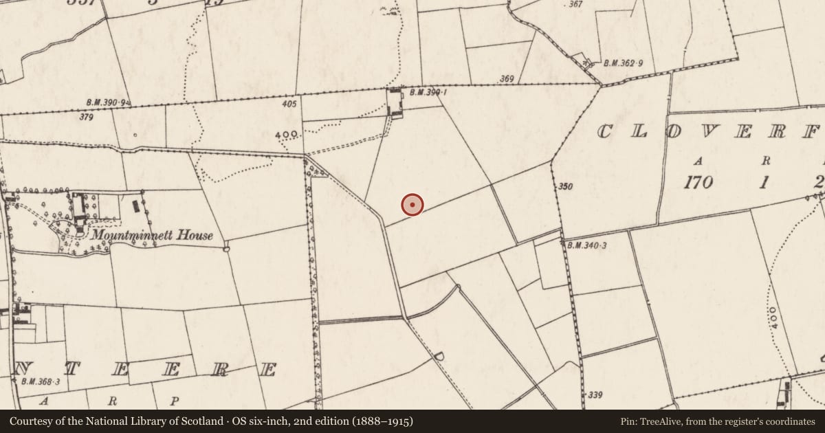 Ordnance Survey six-inch map, 2nd edition (1888–1915) covering the location of Standing stone, Mountminnett, County Limerick, with a pin at the register's coordinates