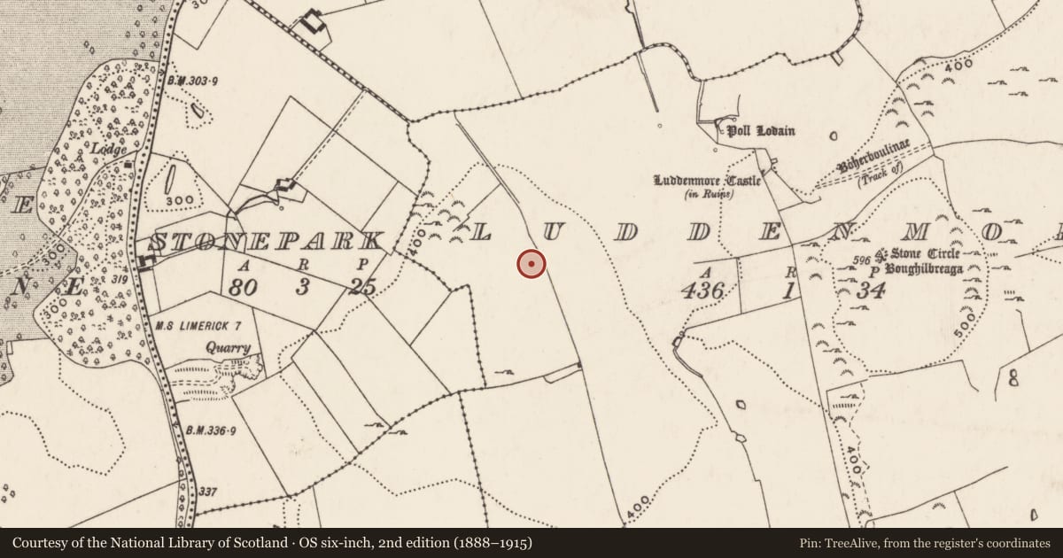 Ordnance Survey six-inch map, 2nd edition (1888–1915) covering the location of Standing stone - pair, Ludden More, County Limerick, with a pin at the register's coordinates