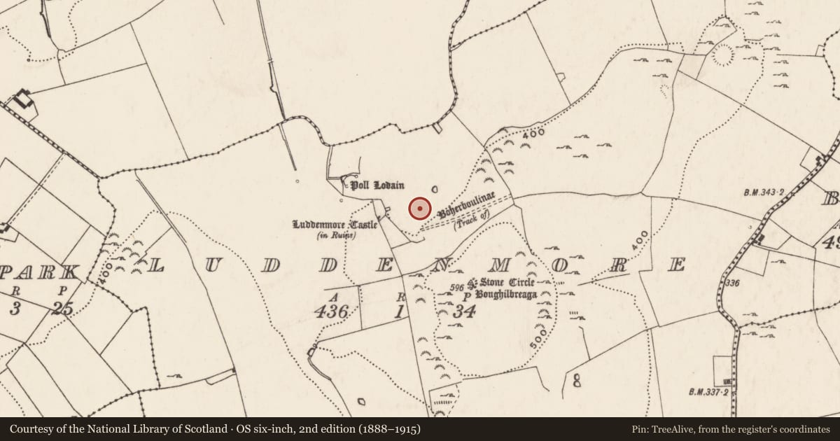 Ordnance Survey six-inch map, 2nd edition (1888–1915) covering the location of Enclosure, Ludden More, County Limerick, with a pin at the register's coordinates