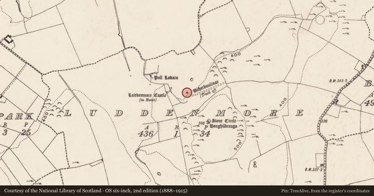 Ordnance Survey six-inch map, 2nd edition (1888–1915) covering the location of Enclosure, Ludden More, County Limerick, with a pin at the register's coordinates