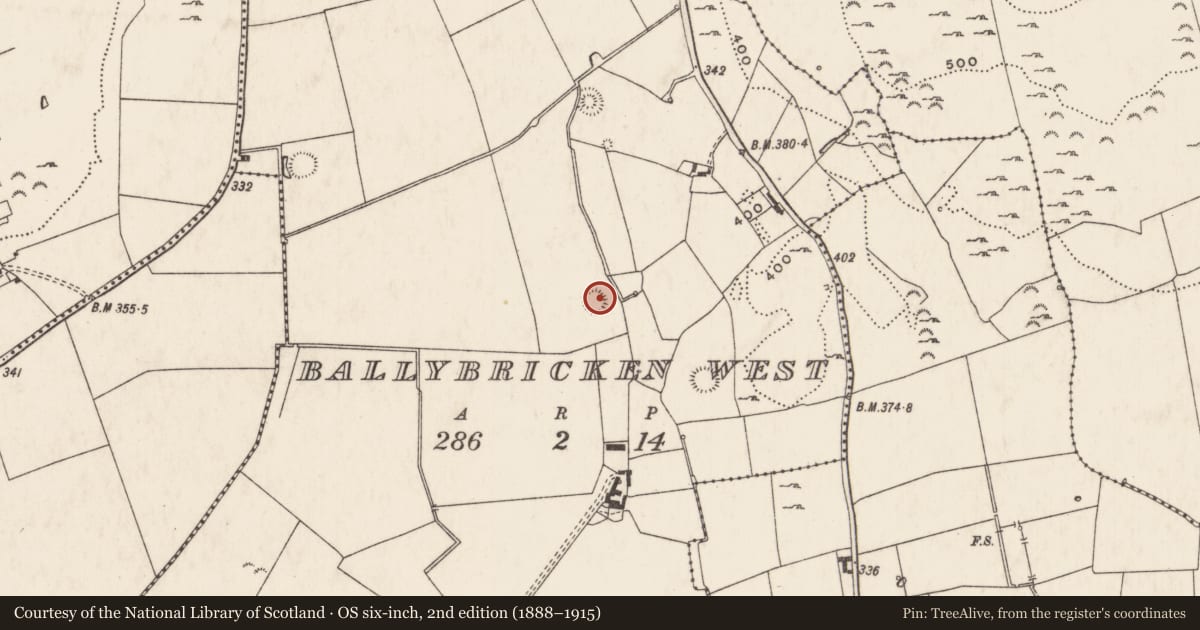 Ordnance Survey six-inch map, 2nd edition (1888–1915) covering the location of Souterrain, Ballybricken West, County Limerick, with a pin at the register's coordinates