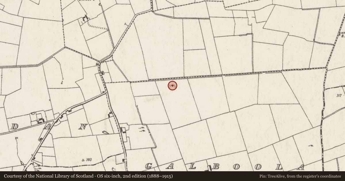 Ordnance Survey six-inch map, 2nd edition (1888–1915) covering the location of Hut site, Galboola, County Limerick, with a pin at the register's coordinates