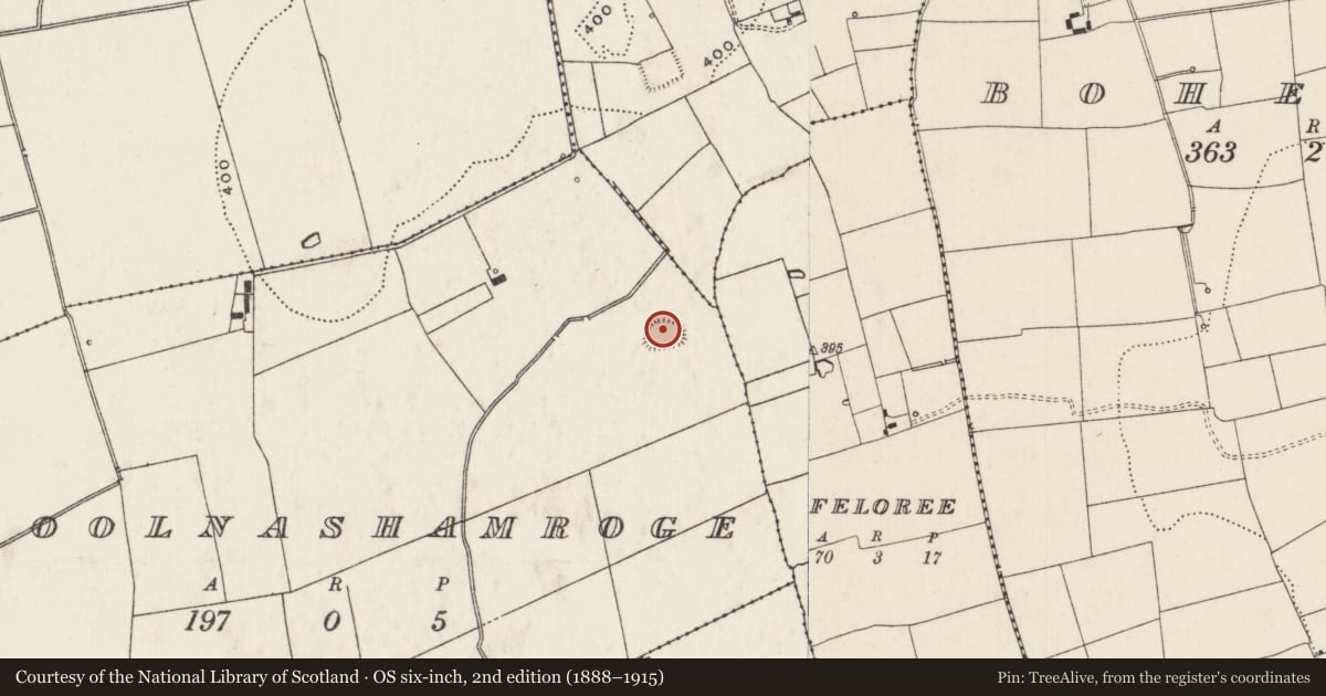 Ordnance Survey six-inch map, 2nd edition (1888–1915) covering the location of Barrow - unclassified, Coolnashamroge, County Limerick, with a pin at the register's coordinates