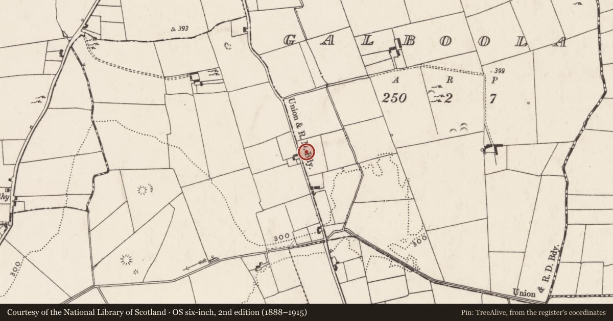 Ordnance Survey six-inch map, 2nd edition (1888–1915) covering the location of Standing stone, Galboola, County Limerick, with a pin at the register's coordinates