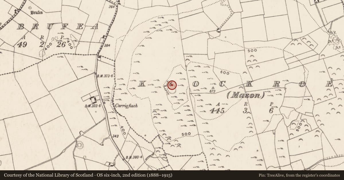 Ordnance Survey six-inch map, 2nd edition (1888–1915) covering the location of Hut site, Knockroe (Mason), County Limerick, with a pin at the register's coordinates