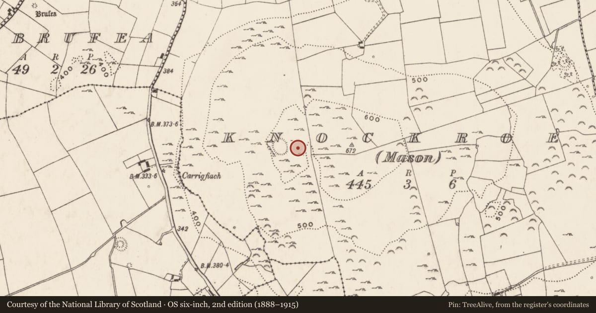 Ordnance Survey six-inch map, 2nd edition (1888–1915) covering the location of Hut site, Knockroe (Mason), County Limerick, with a pin at the register's coordinates