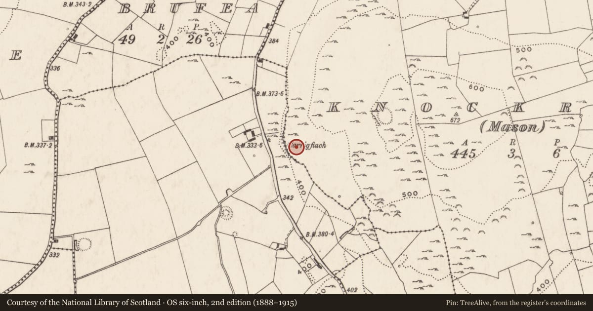 Ordnance Survey six-inch map, 2nd edition (1888–1915) covering the location of Enclosure, Knockroe (Mason), County Limerick, with a pin at the register's coordinates