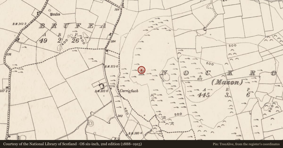 Ordnance Survey six-inch map, 2nd edition (1888–1915) covering the location of Field system, Knockroe (Mason), County Limerick, with a pin at the register's coordinates