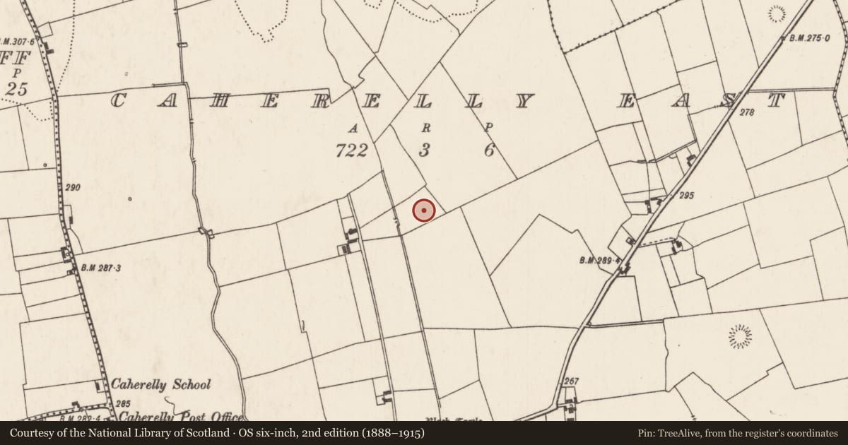 Ordnance Survey six-inch map, 2nd edition (1888–1915) covering the location of Standing stone, Caherelly East, County Limerick, with a pin at the register's coordinates