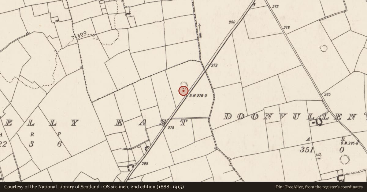 Ordnance Survey six-inch map, 2nd edition (1888–1915) covering the location of Enclosure, Caherelly East, County Limerick, with a pin at the register's coordinates