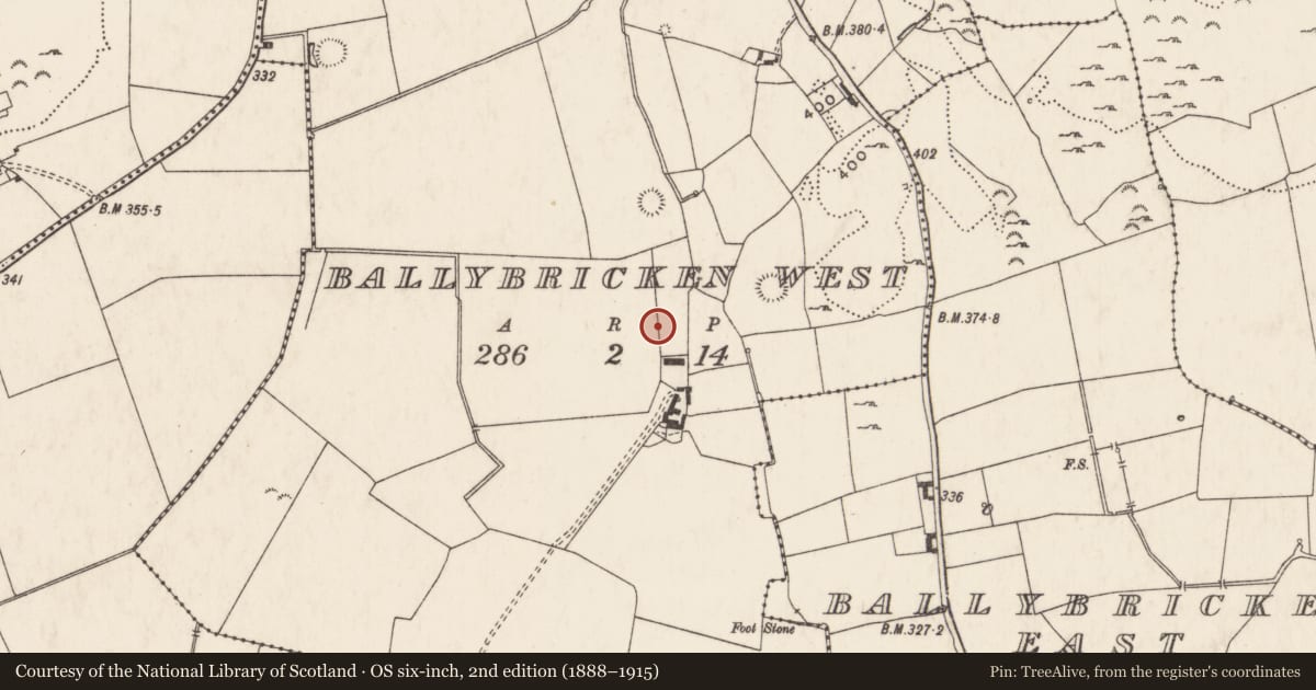 Ordnance Survey six-inch map, 2nd edition (1888–1915) covering the location of Standing stone, Ballybricken West, County Limerick, with a pin at the register's coordinates