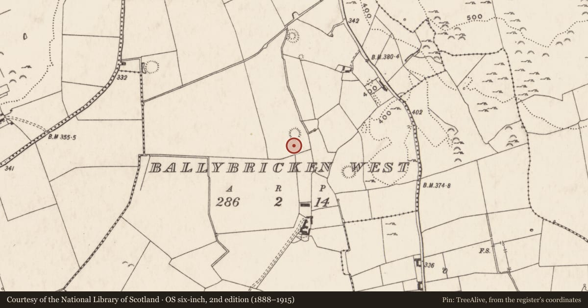 Ordnance Survey six-inch map, 2nd edition (1888–1915) covering the location of Ringfort - rath, Ballybricken West, County Limerick, with a pin at the register's coordinates