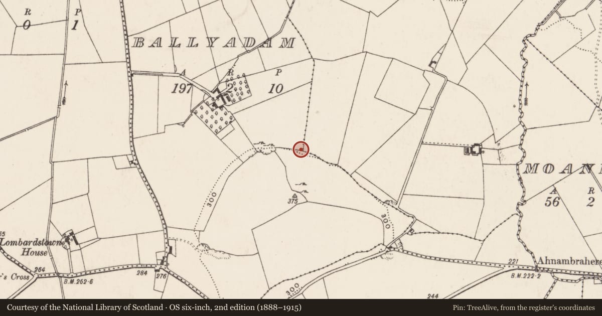 Ordnance Survey six-inch map, 2nd edition (1888–1915) covering the location of Megalithic tomb - unclassified, Ballyadam, County Limerick, with a pin at the register's coordinates