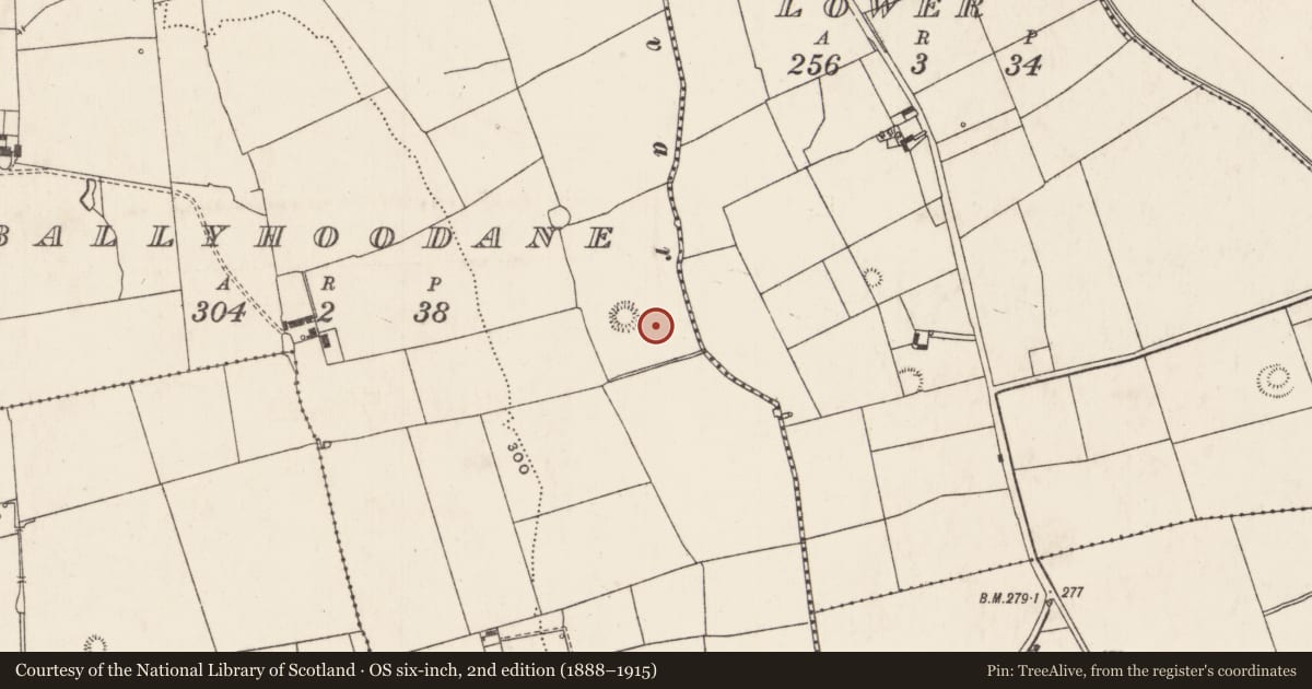 Ordnance Survey six-inch map, 2nd edition (1888–1915) covering the location of Ringfort - rath, Ballyhoodane, County Limerick, with a pin at the register's coordinates