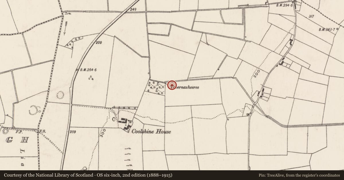 Ordnance Survey six-inch map, 2nd edition (1888–1915) covering the location of Enclosure, Rathjordan, County Limerick, with a pin at the register's coordinates