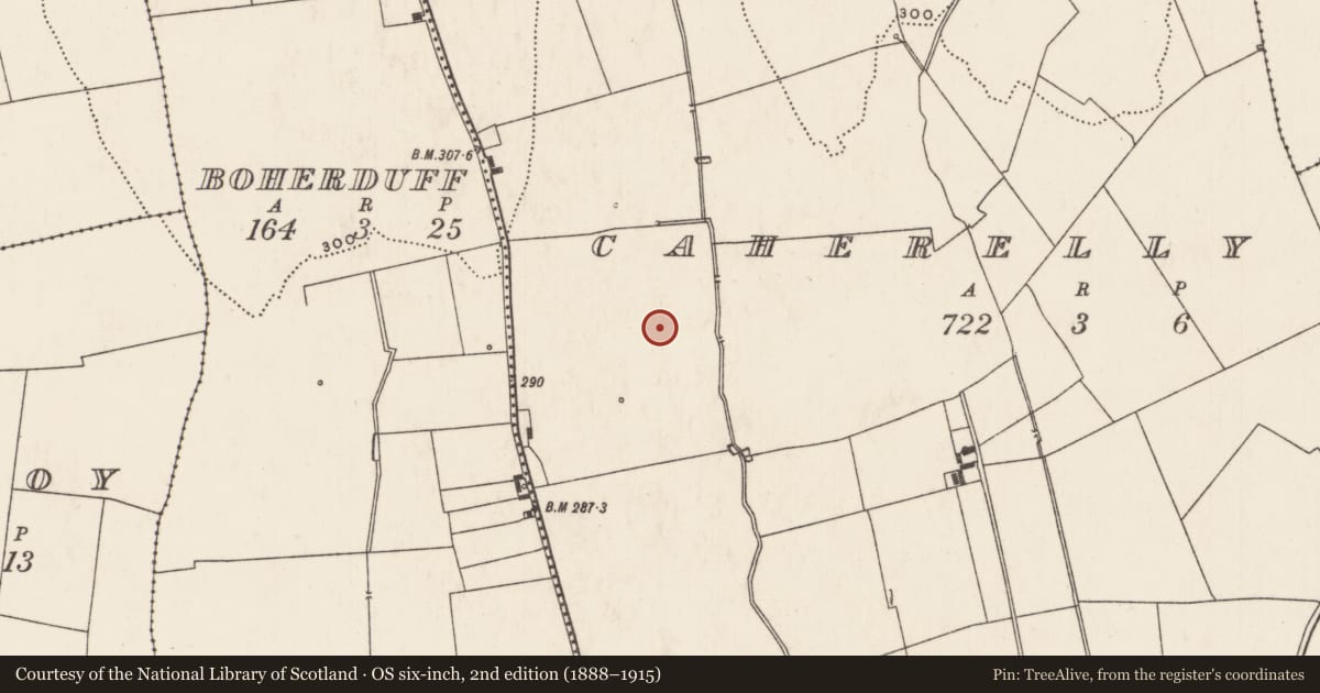 Ordnance Survey six-inch map, 2nd edition (1888–1915) covering the location of Enclosure, Caherelly East, County Limerick, with a pin at the register's coordinates