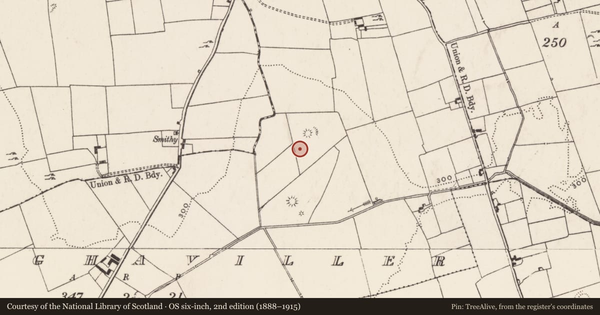Ordnance Survey six-inch map, 2nd edition (1888–1915) covering the location of Enclosure, Cloghaviller, County Limerick, with a pin at the register's coordinates