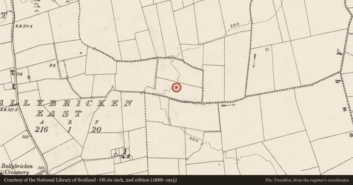 Ordnance Survey six-inch map, 2nd edition (1888–1915) covering the location of Enclosure, Ballyhoodane, County Limerick, with a pin at the register's coordinates