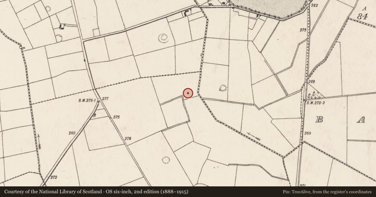 Ordnance Survey six-inch map, 2nd edition (1888–1915) covering the location of Enclosure, Doonvullen Upper, County Limerick, with a pin at the register's coordinates