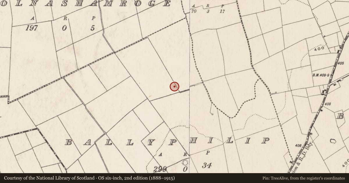 Ordnance Survey six-inch map, 2nd edition (1888–1915) covering the location of Ring-ditch, Ballyphilip, County Limerick, with a pin at the register's coordinates