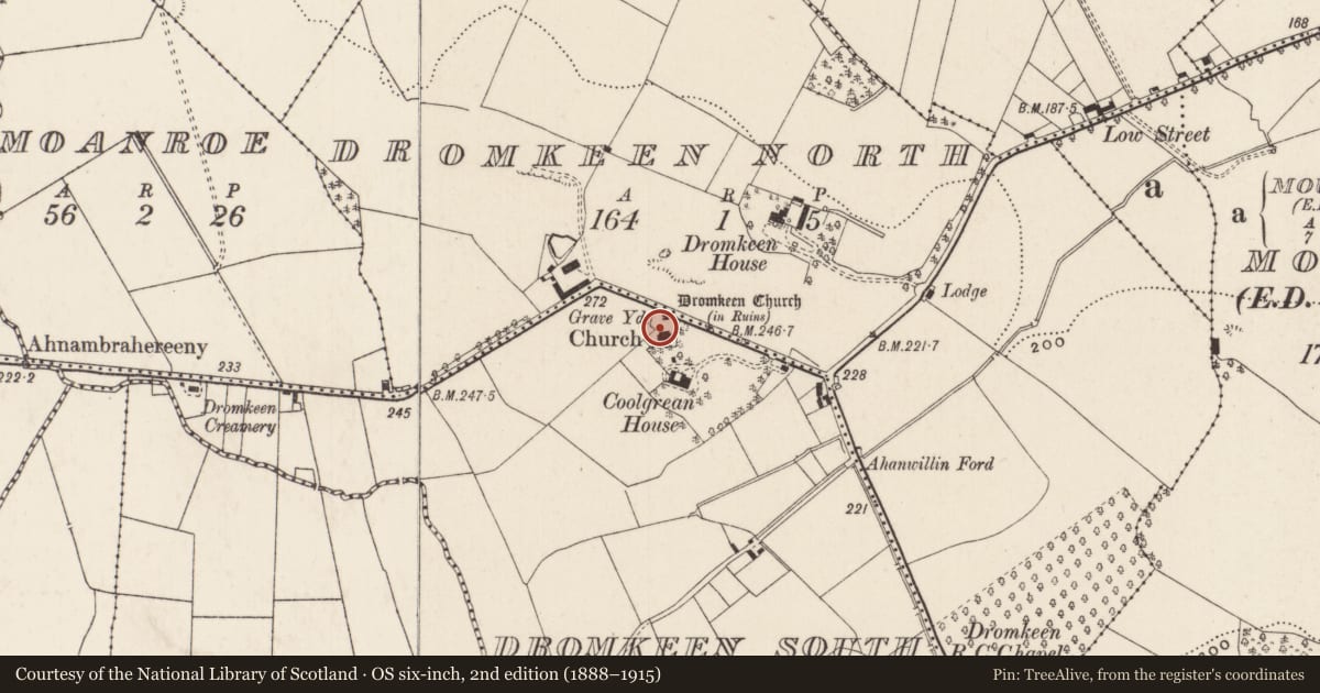Ordnance Survey six-inch map, 2nd edition (1888–1915) covering the location of Graveyard, Dromkeen South, County Limerick, with a pin at the register's coordinates