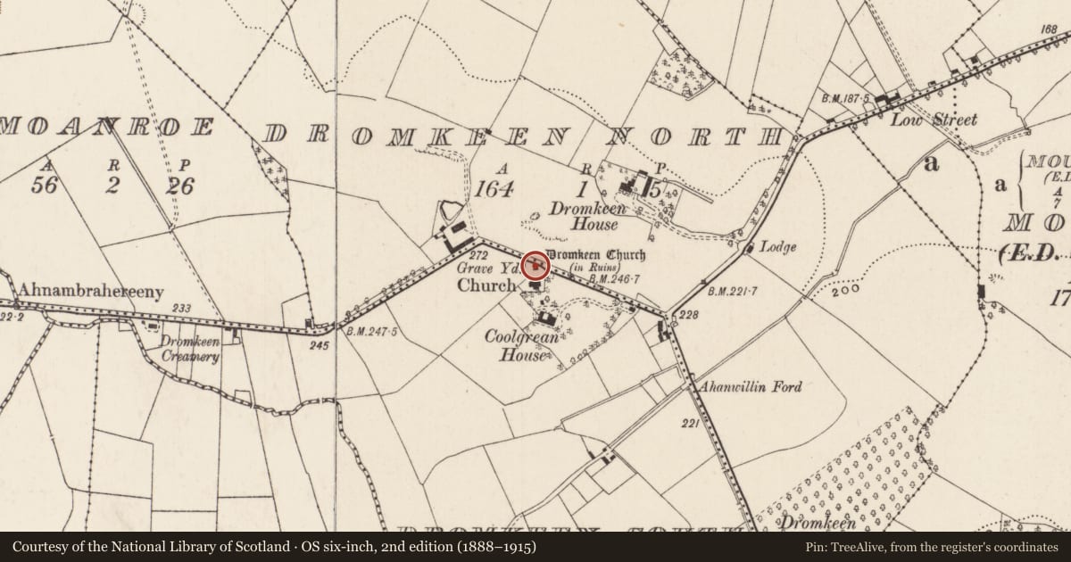 Ordnance Survey six-inch map, 2nd edition (1888–1915) covering the location of Cross-slab, Dromkeen South, County Limerick, with a pin at the register's coordinates