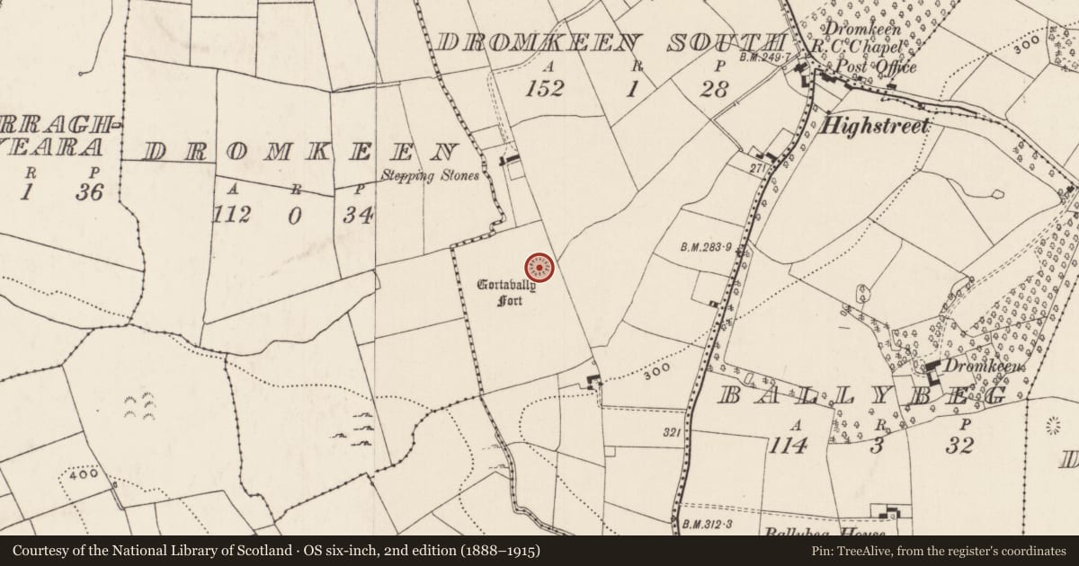Ordnance Survey six-inch map, 2nd edition (1888–1915) covering the location of Ringfort - rath, Dromkeen South, County Limerick, with a pin at the register's coordinates