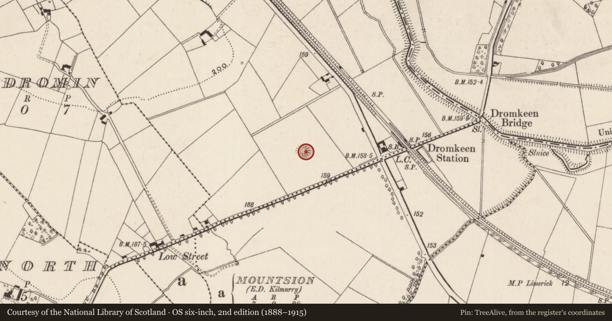 Ordnance Survey six-inch map, 2nd edition (1888–1915) covering the location of Ringfort - rath, Drombane, County Limerick, with a pin at the register's coordinates