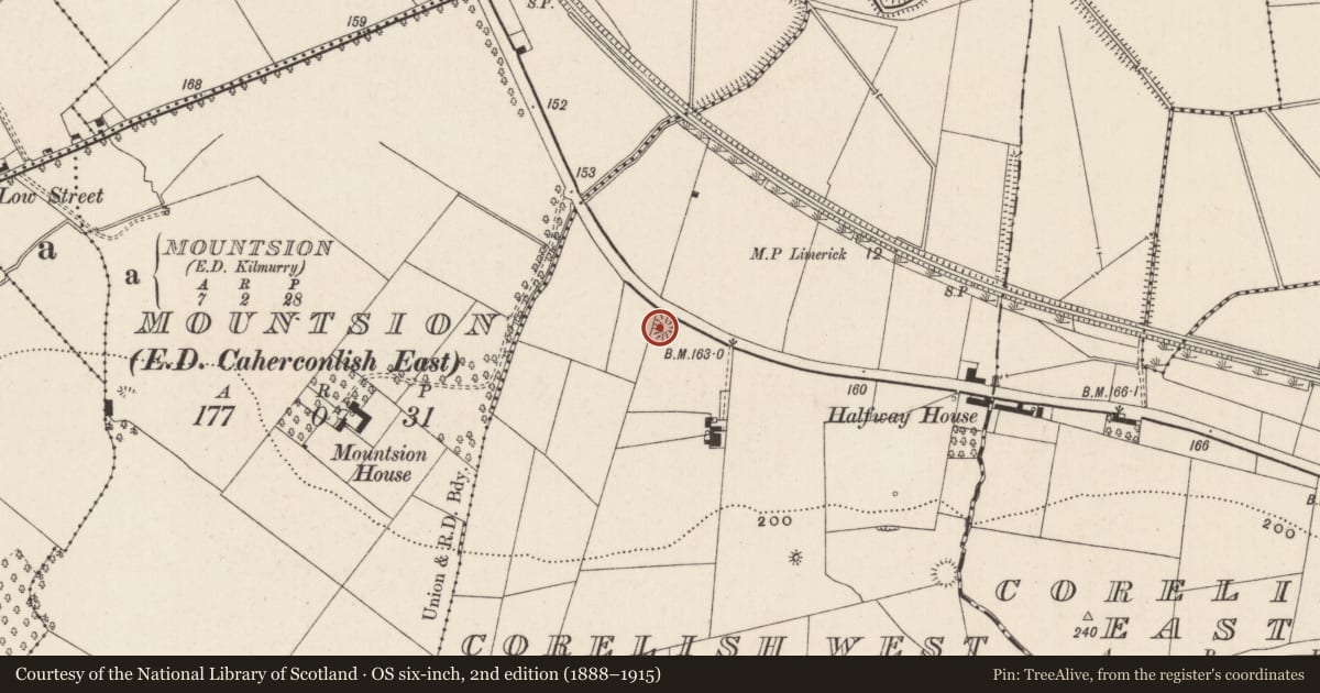 Ordnance Survey six-inch map, 2nd edition (1888–1915) covering the location of Enclosure, Corelish West, County Limerick, with a pin at the register's coordinates