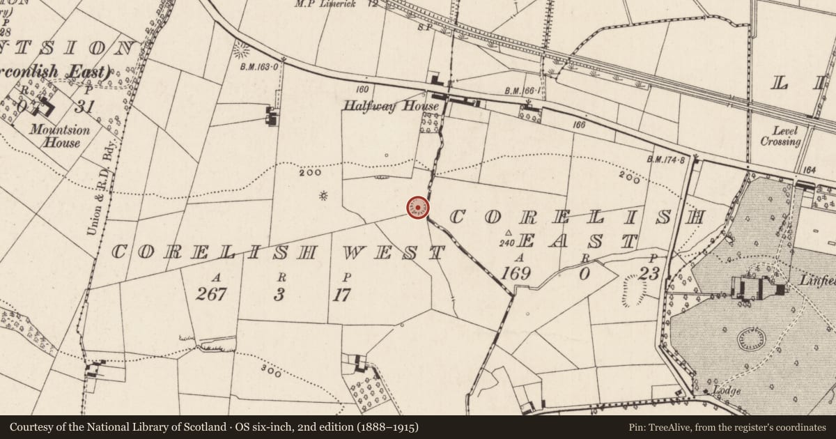 Ordnance Survey six-inch map, 2nd edition (1888–1915) covering the location of Ringfort - rath, Corelish West, County Limerick, with a pin at the register's coordinates