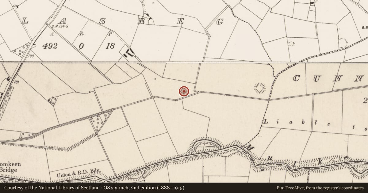 Ordnance Survey six-inch map, 2nd edition (1888–1915) covering the location of Ringfort - rath, Pallasbeg, County Limerick, with a pin at the register's coordinates