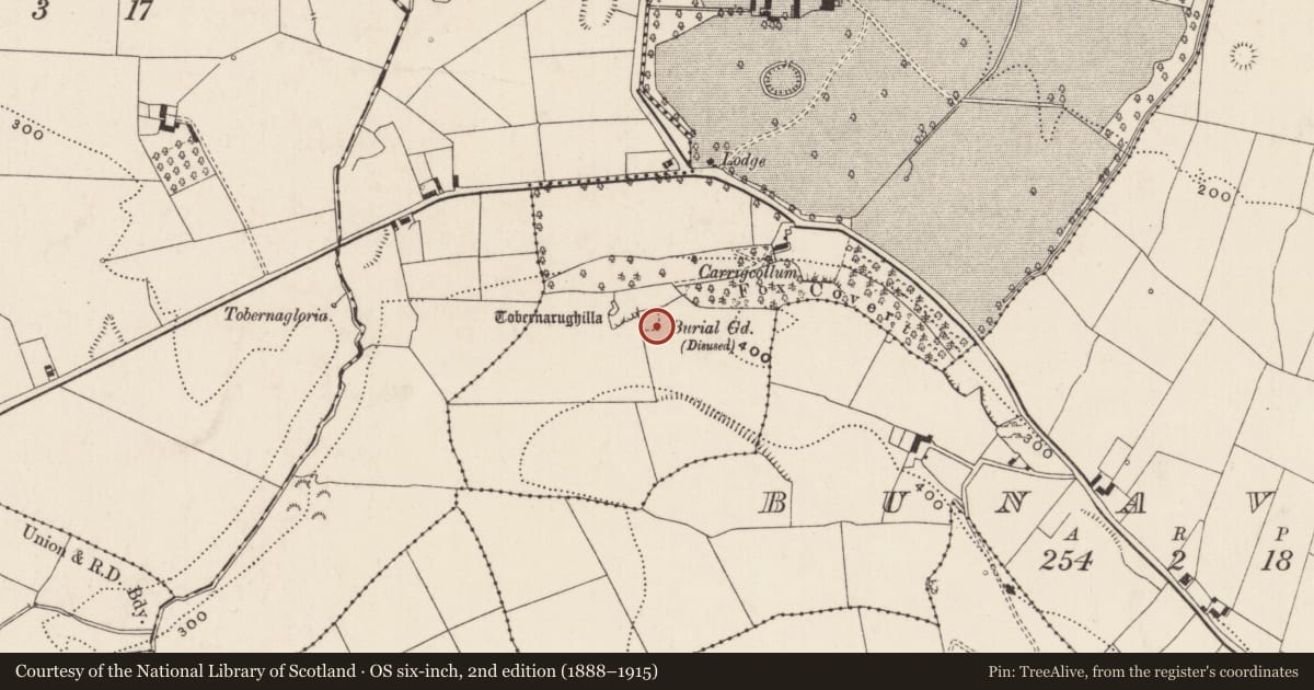 Ordnance Survey six-inch map, 2nd edition (1888–1915) covering the location of Church, Linfield, County Limerick, with a pin at the register's coordinates