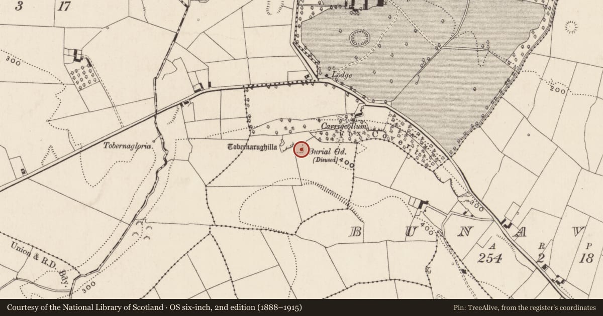 Ordnance Survey six-inch map, 2nd edition (1888–1915) covering the location of Burial ground, Linfield, County Limerick, with a pin at the register's coordinates