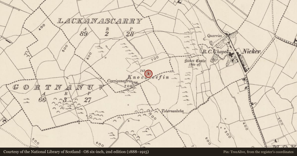 Ordnance Survey six-inch map, 2nd edition (1888–1915) covering the location of Mound, Lackanascarry, County Limerick, with a pin at the register's coordinates