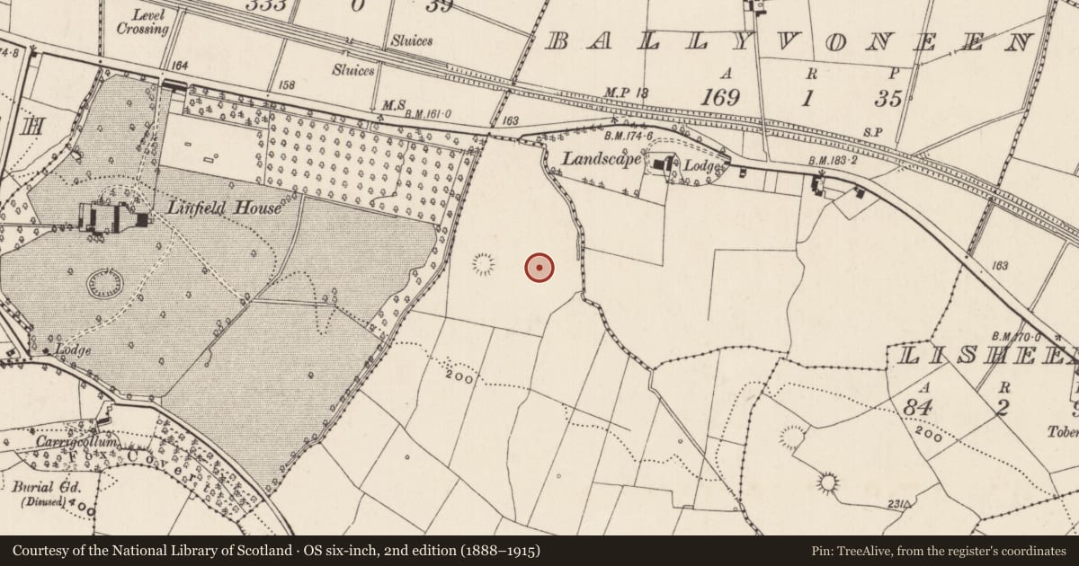 Ordnance Survey six-inch map, 2nd edition (1888–1915) covering the location of Barrow - ring-barrow, Bunavie, County Limerick, with a pin at the register's coordinates