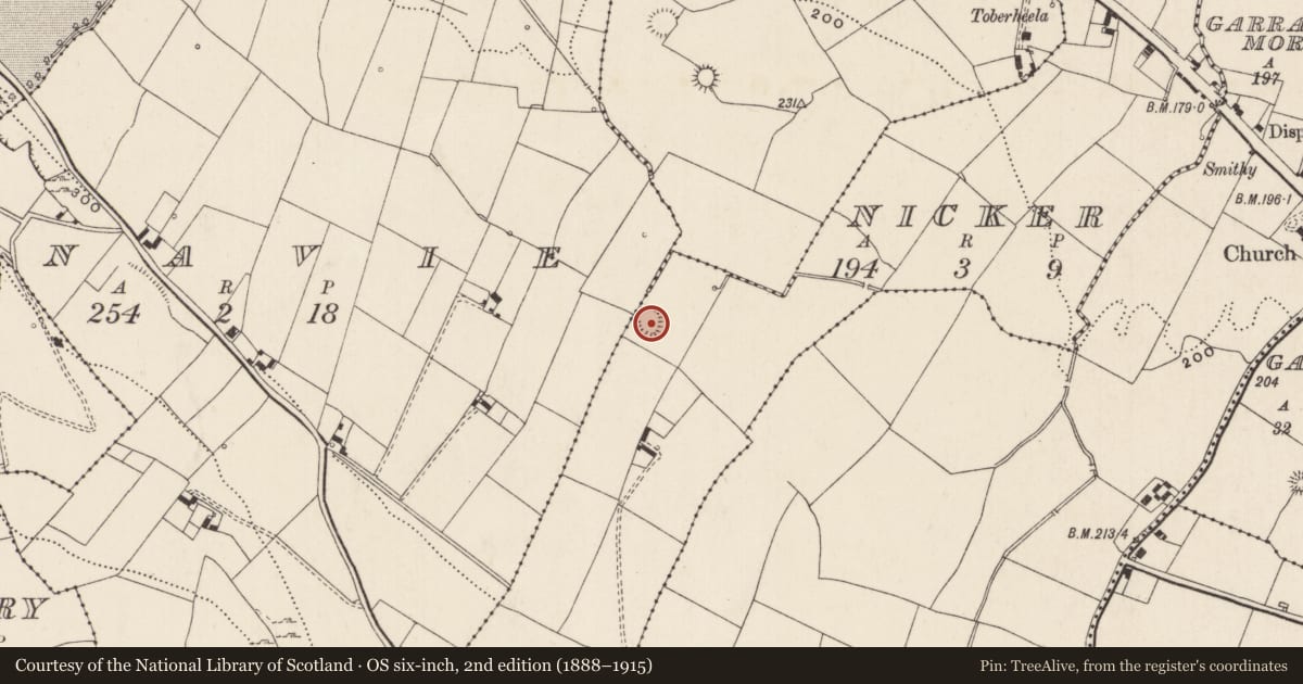 Ordnance Survey six-inch map, 2nd edition (1888–1915) covering the location of Ringfort - rath, Nicker, County Limerick, with a pin at the register's coordinates