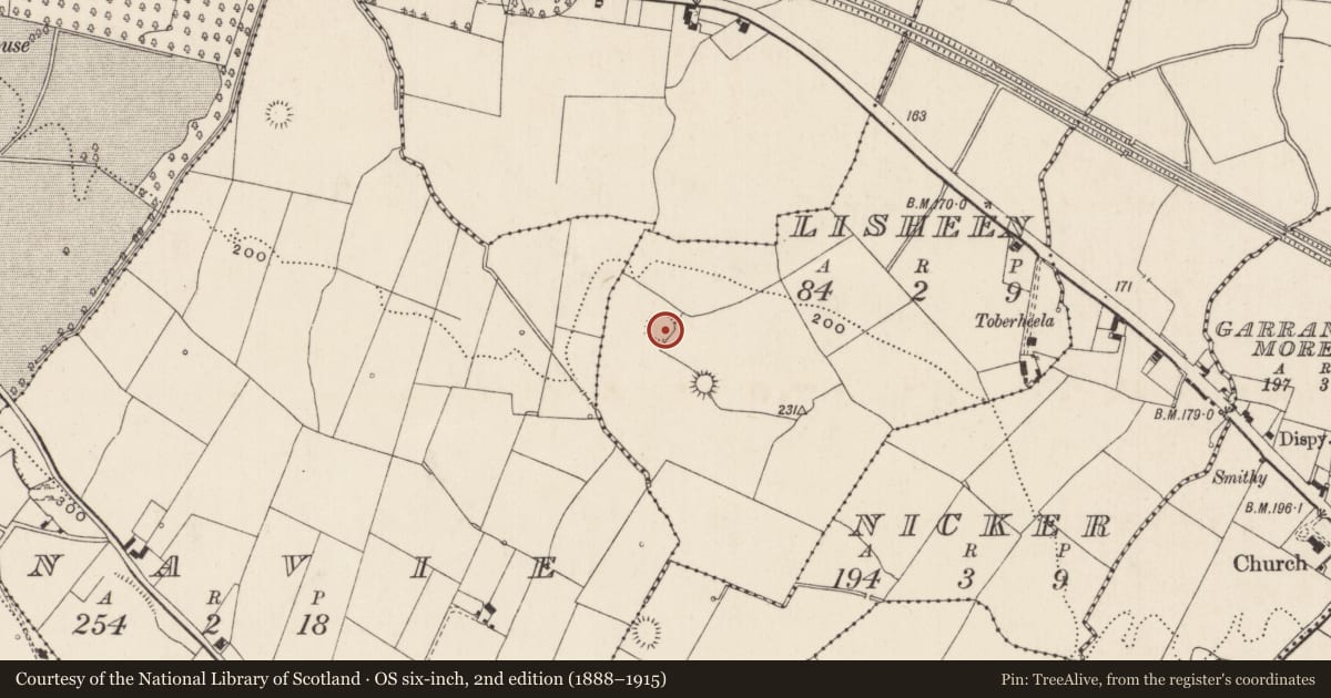 Ordnance Survey six-inch map, 2nd edition (1888–1915) covering the location of Ringfort - rath, Lisheen, County Limerick, with a pin at the register's coordinates