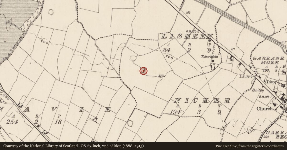 Ordnance Survey six-inch map, 2nd edition (1888–1915) covering the location of Enclosure, Lisheen, County Limerick, with a pin at the register's coordinates