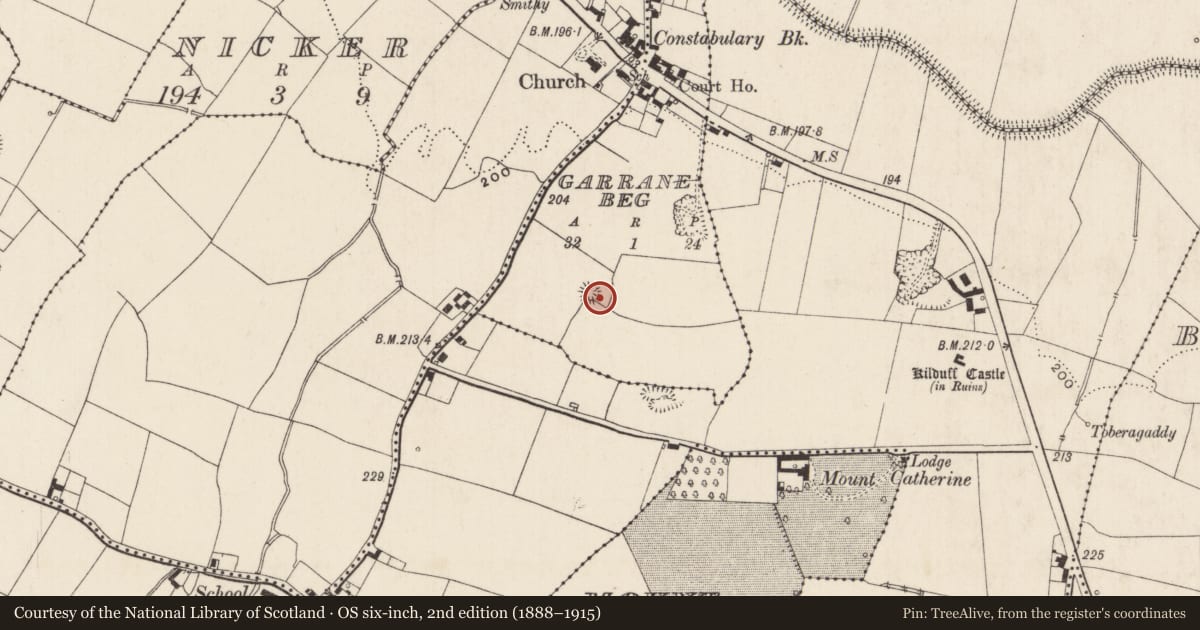 Ordnance Survey six-inch map, 2nd edition (1888–1915) covering the location of Ringfort - rath, Garrane Beg, County Limerick, with a pin at the register's coordinates