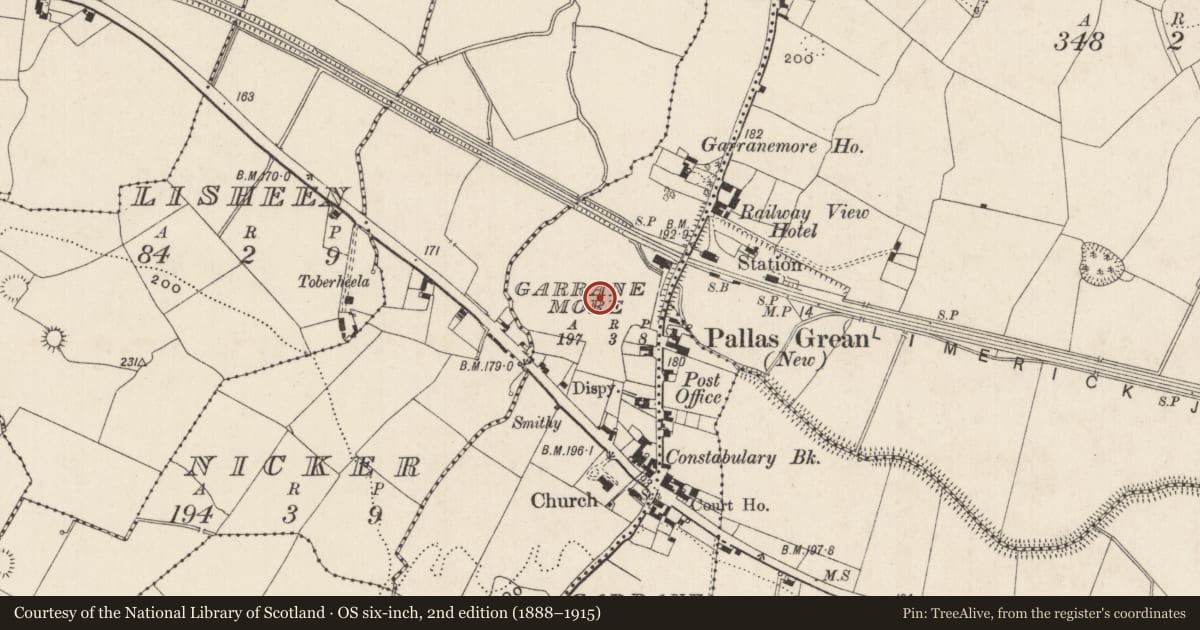 Ordnance Survey six-inch map, 2nd edition (1888–1915) covering the location of Enclosure - large enclosure, Garrane More, County Limerick, with a pin at the register's coordinates