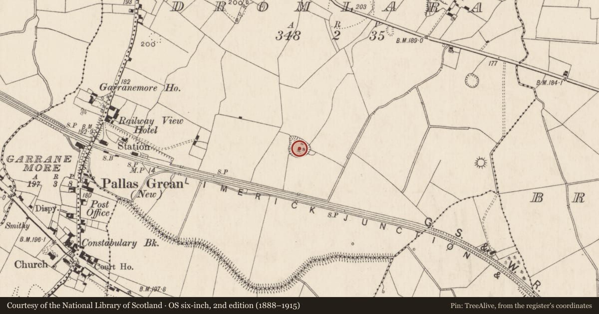 Ordnance Survey six-inch map, 2nd edition (1888–1915) covering the location of Ringfort - rath, Dromlara, County Limerick, with a pin at the register's coordinates