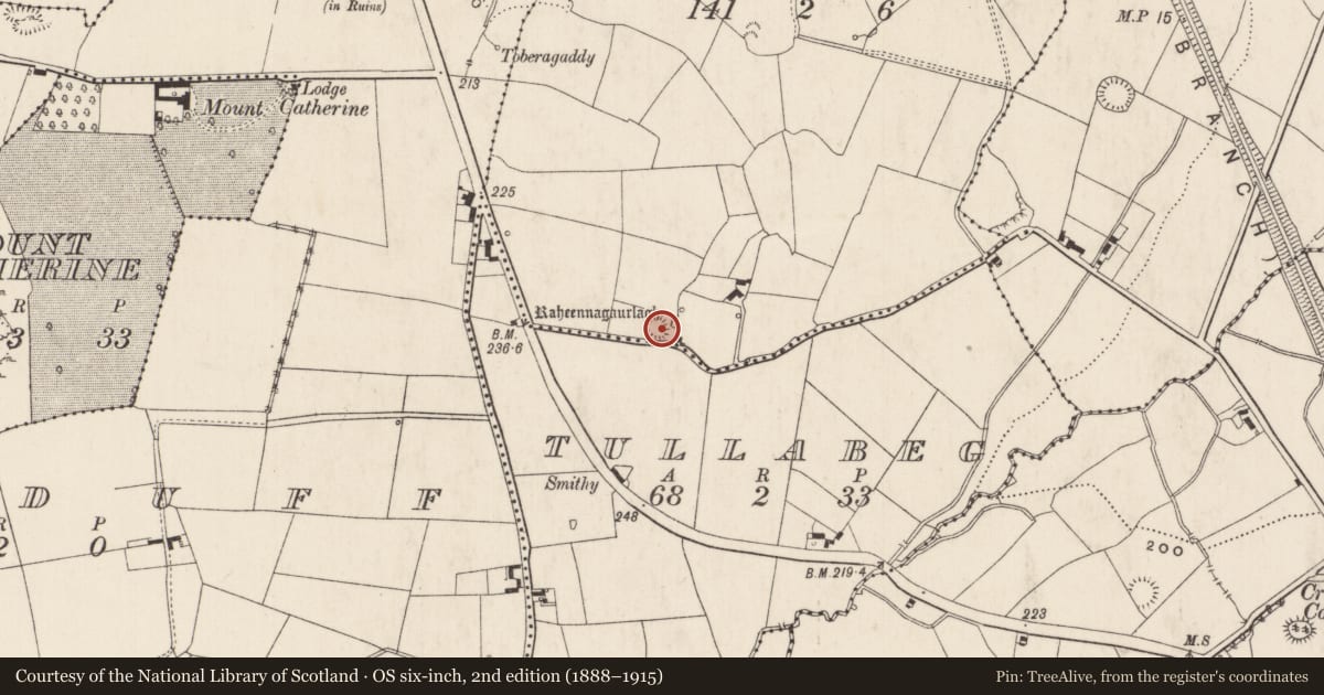 Ordnance Survey six-inch map, 2nd edition (1888–1915) covering the location of Ringfort - rath, Ballyluddy, County Limerick, with a pin at the register's coordinates